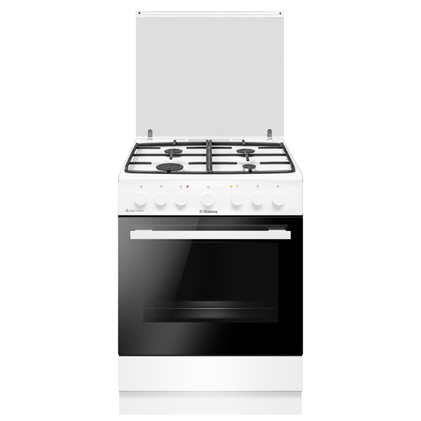 Газоэлектрическая плита Hansa FCMW68123