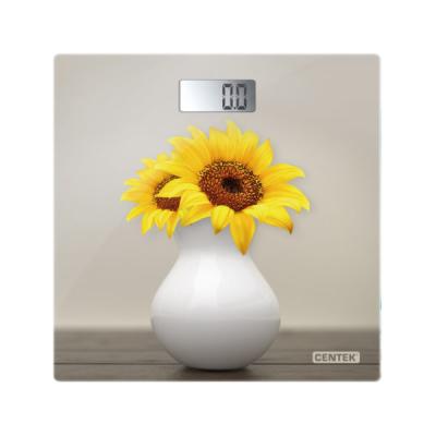 CENTEK CT-2428 Sunflower