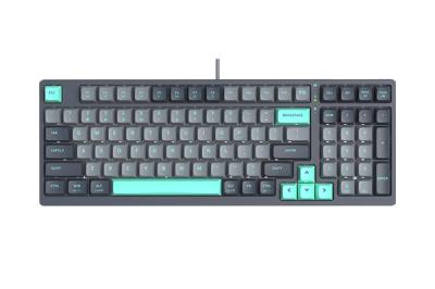 A4TECH FSTYLER FS300 MECHANICAL HOT-SWAPPABLE SWITCH KEYBOARD USB PANDA ROCK CLIMBING US+RU