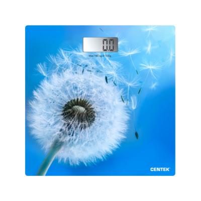 CENTEK CT-2421 Spring Flower