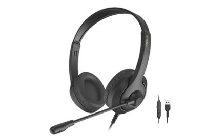 Наушники с микрофоном A4Tech FSTYLER FH100U USB PANDA