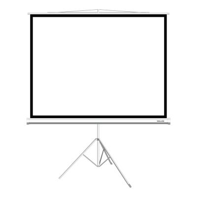 Экран на треноге, Deluxe, DLS-T203x154W, Рабочая поверхность 203х154 см., 4:3, Matt white, Белый