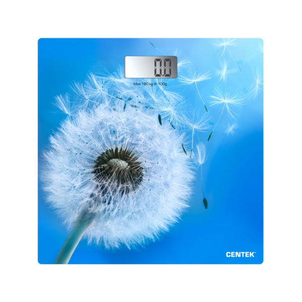 CENTEK CT-2421 Spring Flower